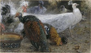 Valkoinen riikinkukko, kalkkuna ja kanat. Teoksesta ”Kinderalbum” tekijältä Adolph Menzel