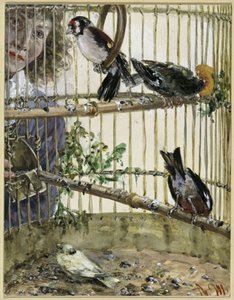Pääskyt ja kanarialintu teoksessa *Bauer*. Teoksesta *Kinderalbum* tekijältä Adolph Menzel