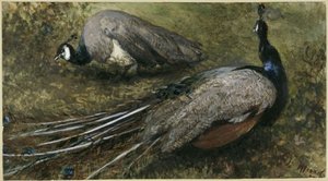  tekijältä Adolph Menzel
