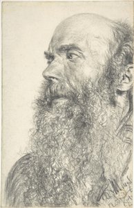 Parrakkaan miehen pää tekijältä Adolph Menzel