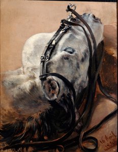Hevostutkimus. Pää makuulla, valjaissa tekijältä Adolph Menzel