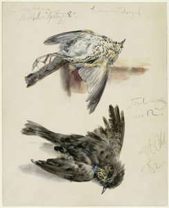 tekijältä Adolph Menzel