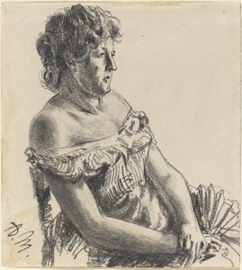 Nainen hovimekossa tekijältä Adolph Menzel