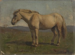  tekijältä Adolph Tidemand