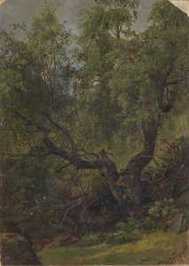  tekijältä Adolph Tidemand