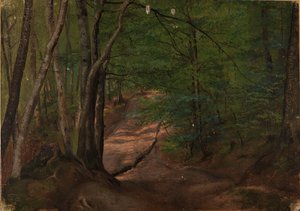 Metsätie tekijältä Adolph Tidemand