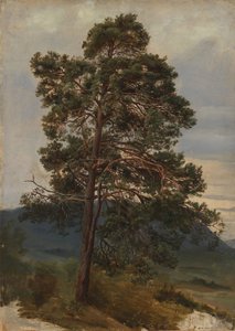 Tutkimus männystä tekijältä Adolph Tidemand