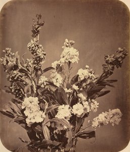 Kukkakimppu, c. 1855.