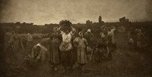 Kutsu keräilijöille tekijältä Adolphe Braun