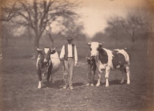 Maisema,c. 1864 (kuva) tekijältä Adolphe Braun