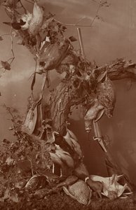 [Still Life: Dead Game] tekijältä Adolphe Braun