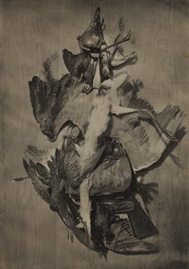 [Riistakuvaus] tekijältä Adolphe Braun