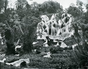 Roaring River Falls, Jamaika, 1905. tekijältä Adolphe Duperly and Son