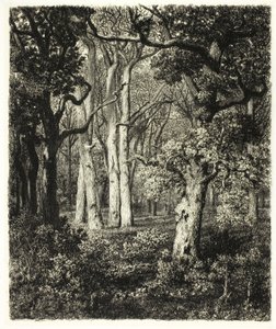Old Oaks Bas Bréaussa