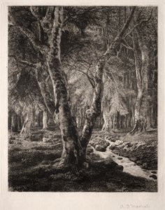 Pierrefondsin metsä