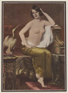 Suosikki, nainen linnun kanssa (väri litho) tekijältä Adolphe Weisz