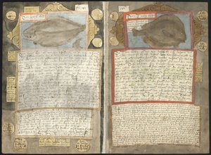 Adriaen Coenenin Visboeck