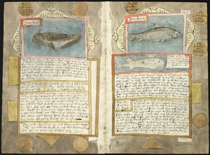 Adriaen Coenenin Visboeck - KB 78 E 54 - folio 210v (vasen) ja 211r (oikea)