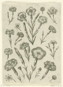 Erilaisia ​​vihamielisyyksiä Florilegium (sarjan nimi) tekijältä Adriaen Collaert