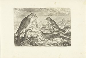 Kolme lintua maisemassa Avium Vivae (sarjan nimi) Linnut (sarjan nimi) tekijältä Adriaen Collaert
