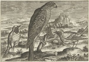 Muutama lintu maisemassa Linnut (sarjan nimi) Avivm vivae (sarjan nimi) tekijältä Adriaen Collaert