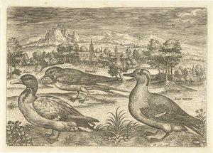 Muutama lintu maisemassa Linnut (sarjan nimi) Avivm vivae (sarjan nimi) tekijältä Adriaen Collaert