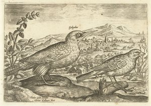 Kaksi lintua maisemassa Avium Vivae (sarjan nimi) Linnut (sarjan nimi) tekijältä Adriaen Collaert