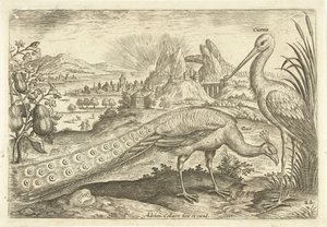 Kaksi lintua maisemassa Avium Vivae (sarjan nimi) Linnut (sarjan nimi) tekijältä Adriaen Collaert