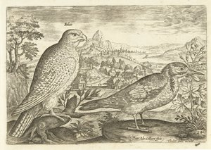 Kaksi lintua maisemassa Avium Vivae (sarjan nimi) Linnut (sarjan nimi) tekijältä Adriaen Collaert