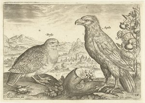 Kaksi lintua maisemassa Avium Vivae (sarjan nimi) Linnut (sarjan nimi) tekijältä Adriaen Collaert