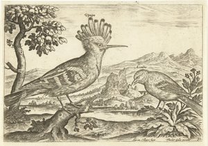Kaksi lintua maisemassa Linnut (sarjan nimi) Avium Vivae (sarjan nimi) tekijältä Adriaen Collaert