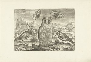 Lintuja ja perhosia maisemassa Linnut (sarjan nimi) Avium vivae (sarjan nimi) tekijältä Adriaen Collaert