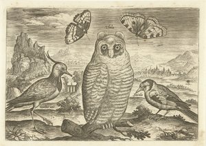 Lintuja ja perhosia maisemassa Linnut (sarjan nimi) Avium vivae (sarjan nimi) tekijältä Adriaen Collaert