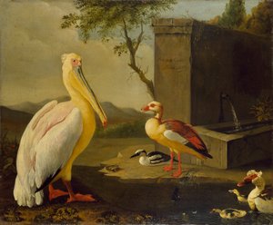 Itämaiset linnut, 1683