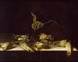 Asetelma hasselpähkinöiden kanssa, 1696 tekijältä Adrian Coorte
