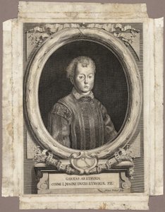 Cosimo I   1293045   fi       finnish Successfully Translated  Original: Specialities of Bizen Province, 19th century. Translat: Specialities of Bizen Province, 19th century. 1176386 fi finnish Successfully Translated Original: Drawing depicting the transf