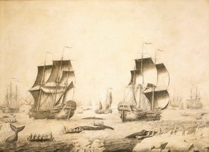 Valaanpyytäjät jäällä tekijältä Adriaen or Abraham Salm