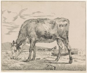 laiduntava vasikka Karja (sarjan nimi) tekijältä Adriaen van de Velde