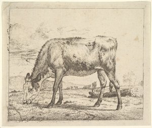 laiduntava vasikka, eri eläimistä, 1658. tekijältä Adriaen van de Velde