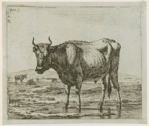  tekijältä Adriaen van de Velde