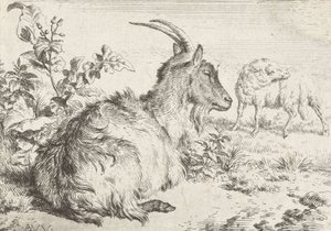 Makaava vuohi, 1670 tekijältä Adriaen van de Velde