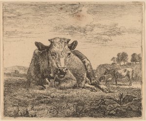 Makaava lehmä tekijältä Adriaen van de Velde
