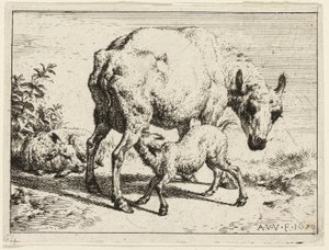 Lammas tekijältä Adriaen van de Velde