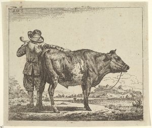 Nuori paimen sonnin kanssa, eri eläimistä, 1659. tekijältä Adriaen van de Velde