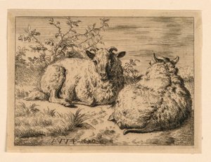 Kaksi lammasta tekijältä Adrian van de Velde