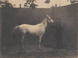 Pascaline, ca. 1855-60. finlandès