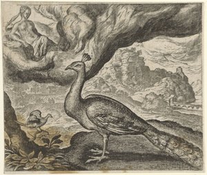 Fable of the Peacock and the Nightingale tekijältä Egidius  Sadeler (II)