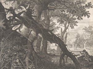 Metsä ja kaninmetsästys,.n.d.