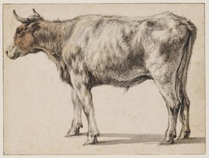 Seisova nuori sonni tekijältä Aelbert Cuyp