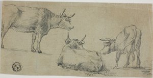 Kolme luonnosta lehmistä tekijältä Aelbert Cuyp